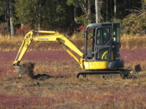 Little-Excavator