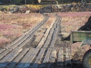 Tracks