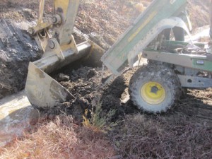 Unloading-Gator